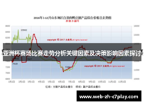 亚洲杯赛场比赛走势分析关键因素及决策影响因素探讨