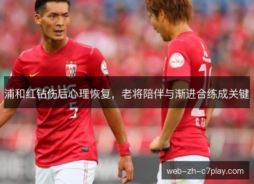 浦和红钻伤后心理恢复，老将陪伴与渐进合练成关键